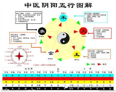 五行關係|五行相生相剋:五行,四季五行,相生相剋,概念對應,五行。